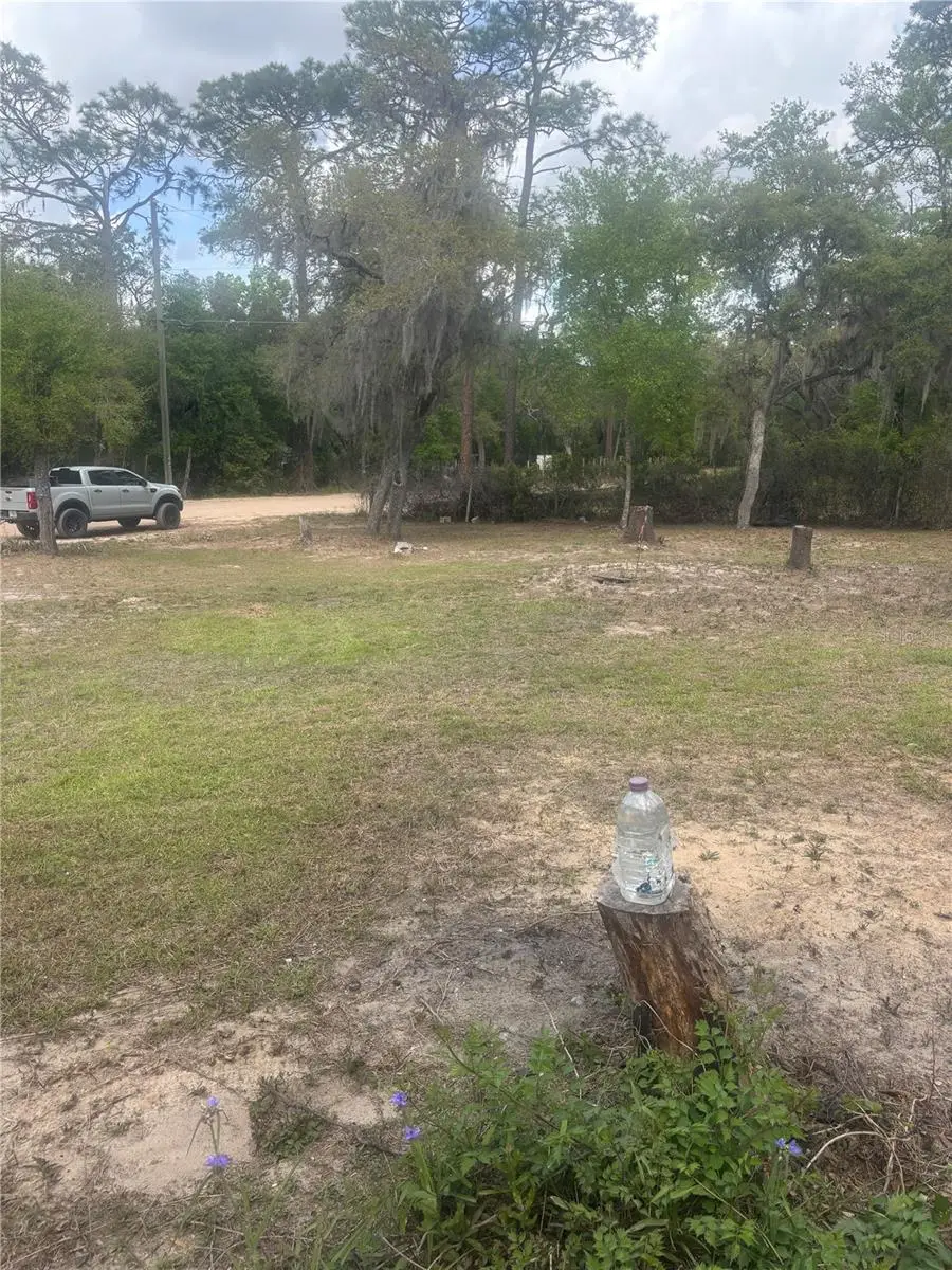 9465 SE 195th Avenue, Ocklawaha, FL 32179 - #3
