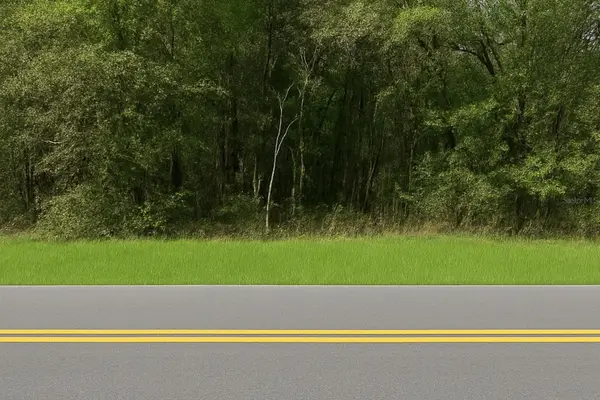 0 Rainbow Lakes Boulevard, DUNNELLON, FL 34431