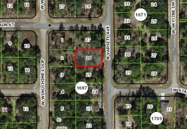 6648 Varsity, Citrus Springs, FL 34434 - #1