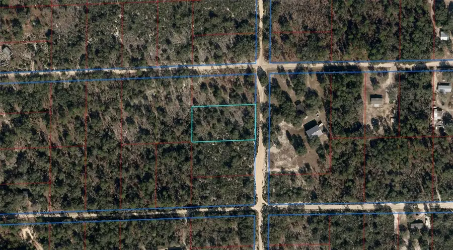 NE 100th Avenue, Bronson, FL 32621 - #2