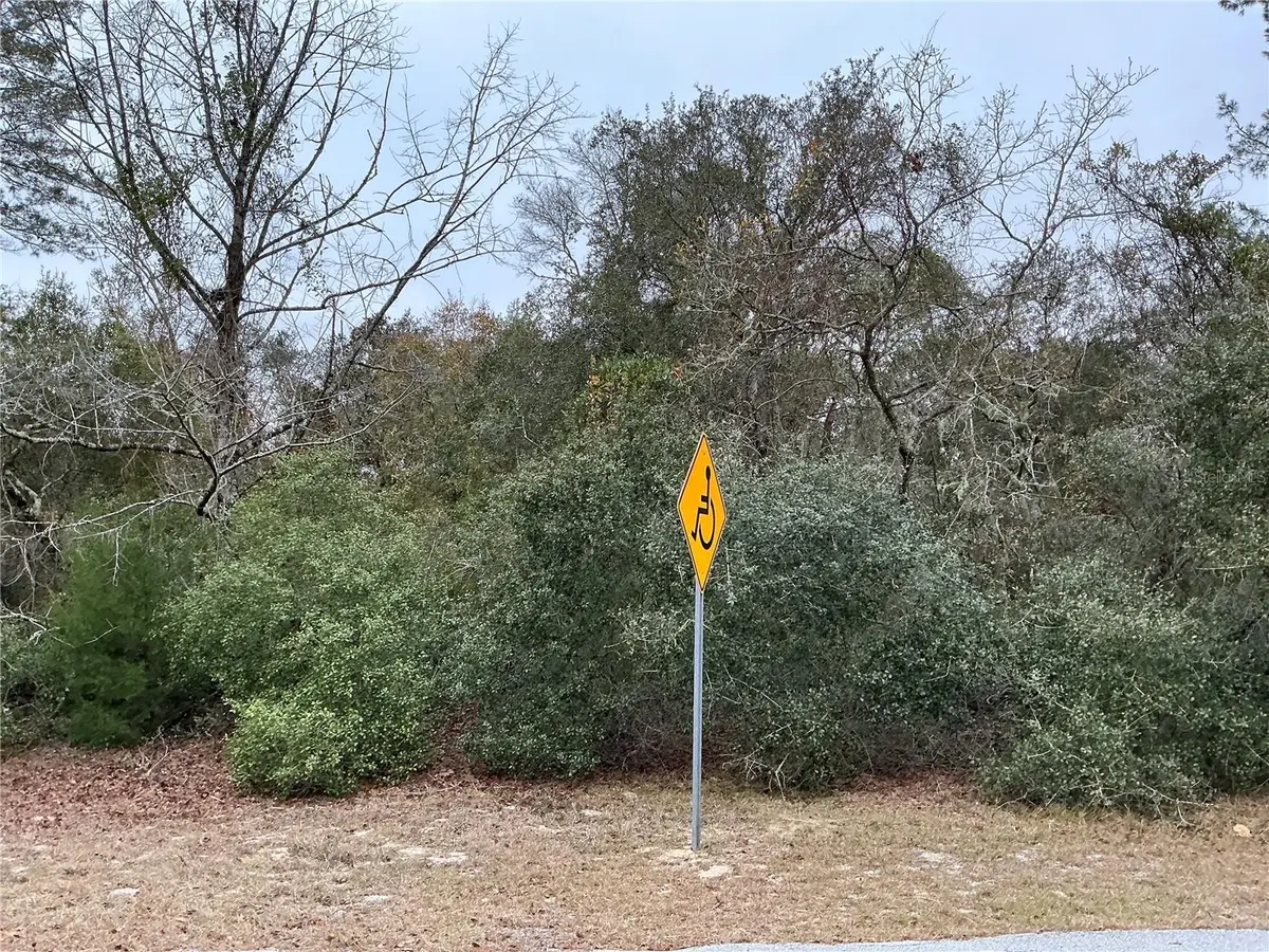 SW 137th Loop, Ocala, FL 34473 - #1