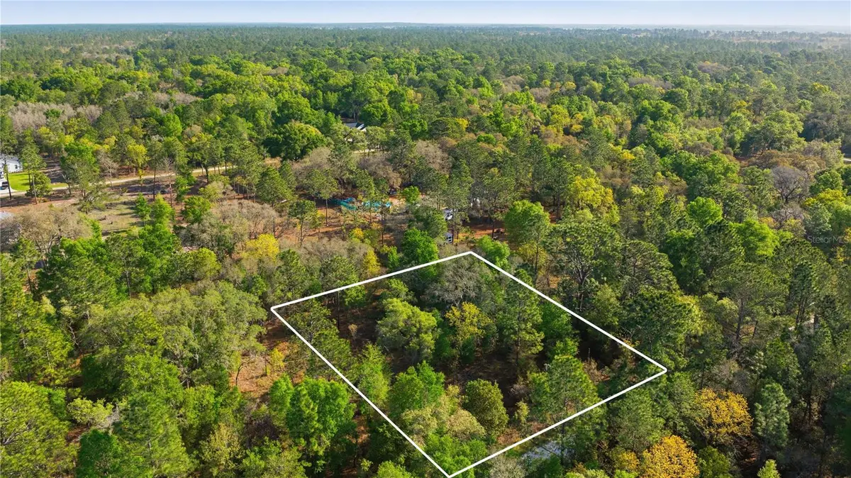 12701 SW 96th Lane, Dunnellon, FL 34432 - #1