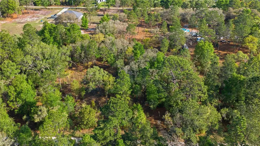 12701 SW 96th Lane, Dunnellon, FL 34432 - #2