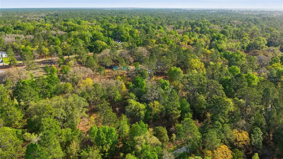 12701 SW 96th Lane, Dunnellon, FL 34432 - #3
