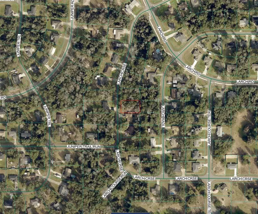 TBD Larch Course, Ocala, FL 34480 - #3