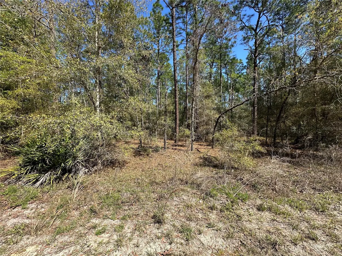 TBD SW 29th Street, Ocala, FL 34473 - #1