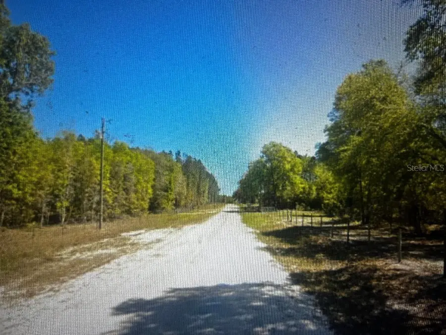 1260 SW Marigold Place, Fort White, FL 32038 - #3