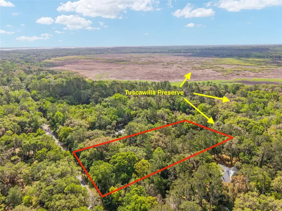 227 SE Tuscawilla Road, Micanopy, FL 32667 - #2