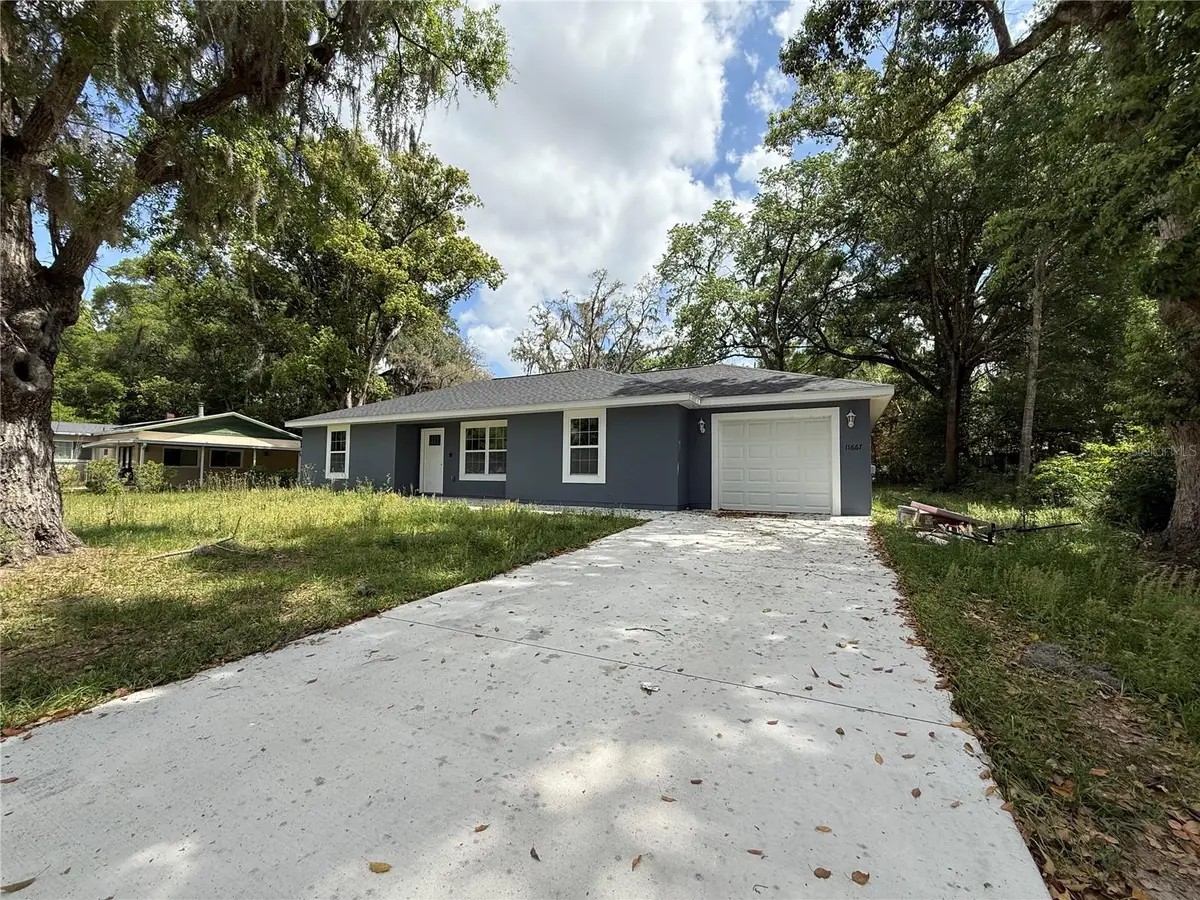11667 SE 60th Avenue, Belleview, FL 34420 - #1