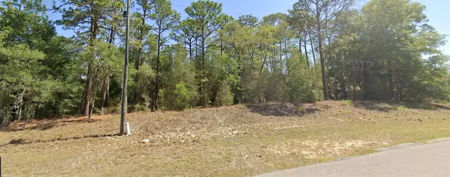 0 SW 102nd Street Road, Dunnellon, FL 34431 - #3