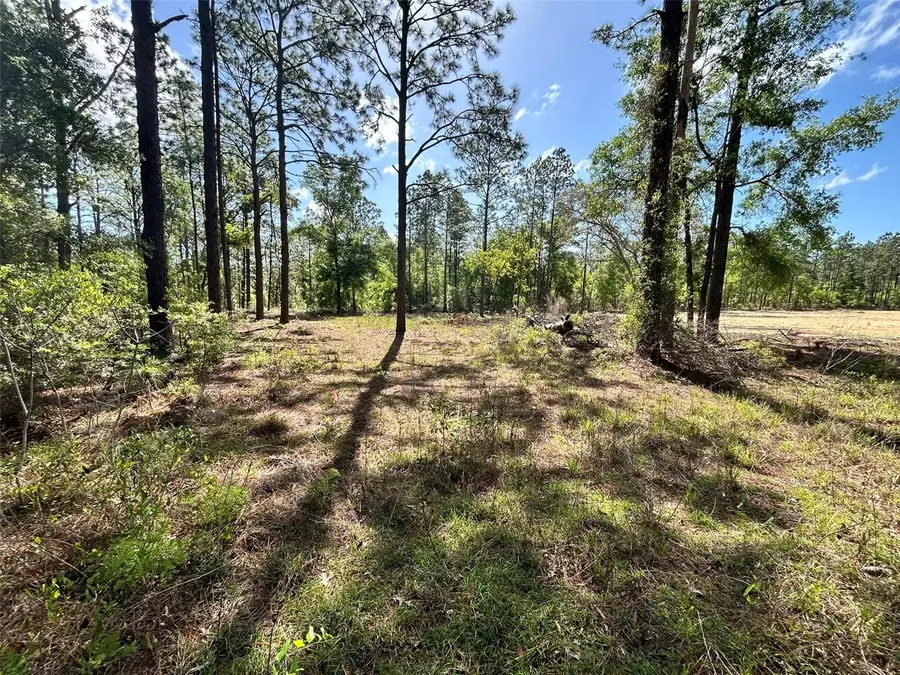 4 SW 157th Avenue #4, Ocala, FL 34481 - #3