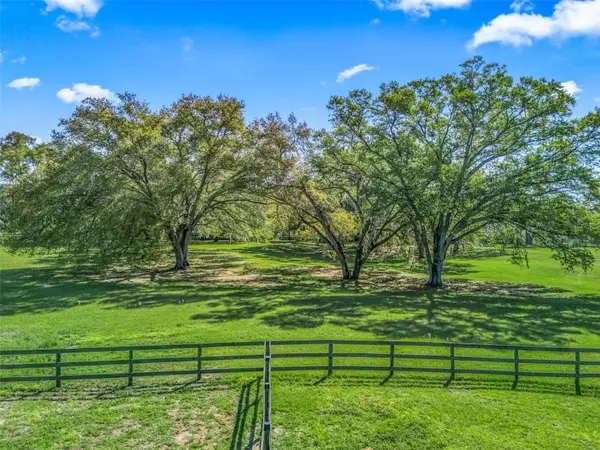 TBD Carry Back Road, OCALA, FL 34482