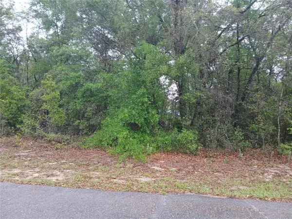 7851 N Vince Drive, CITRUS SPRINGS, FL 34434