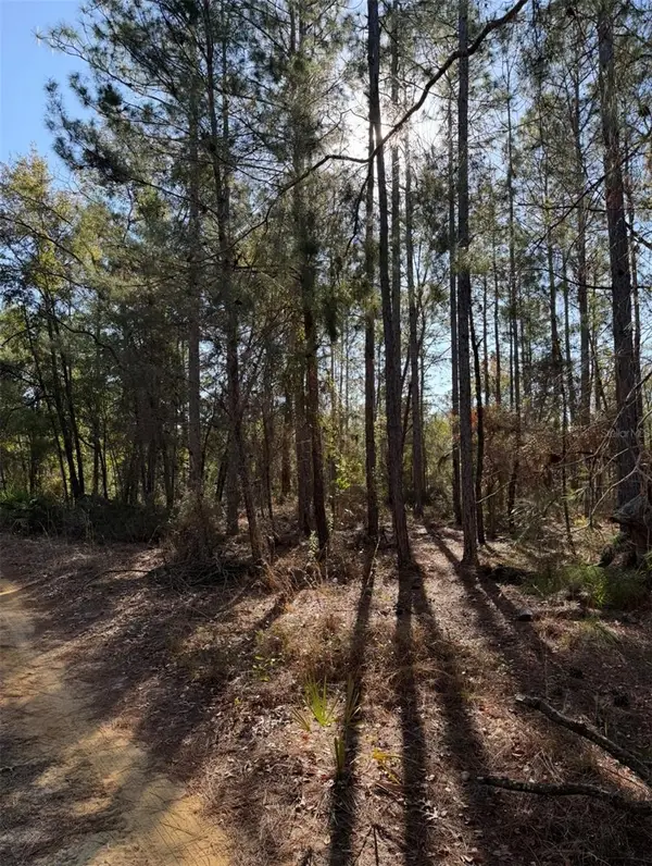 Tbt 5th Way, INTERLACHEN, FL 32148