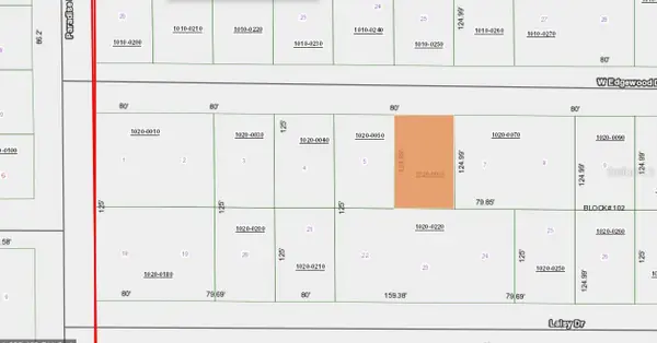 111 Edgewood Drive, GEORGETOWN, FL 32139