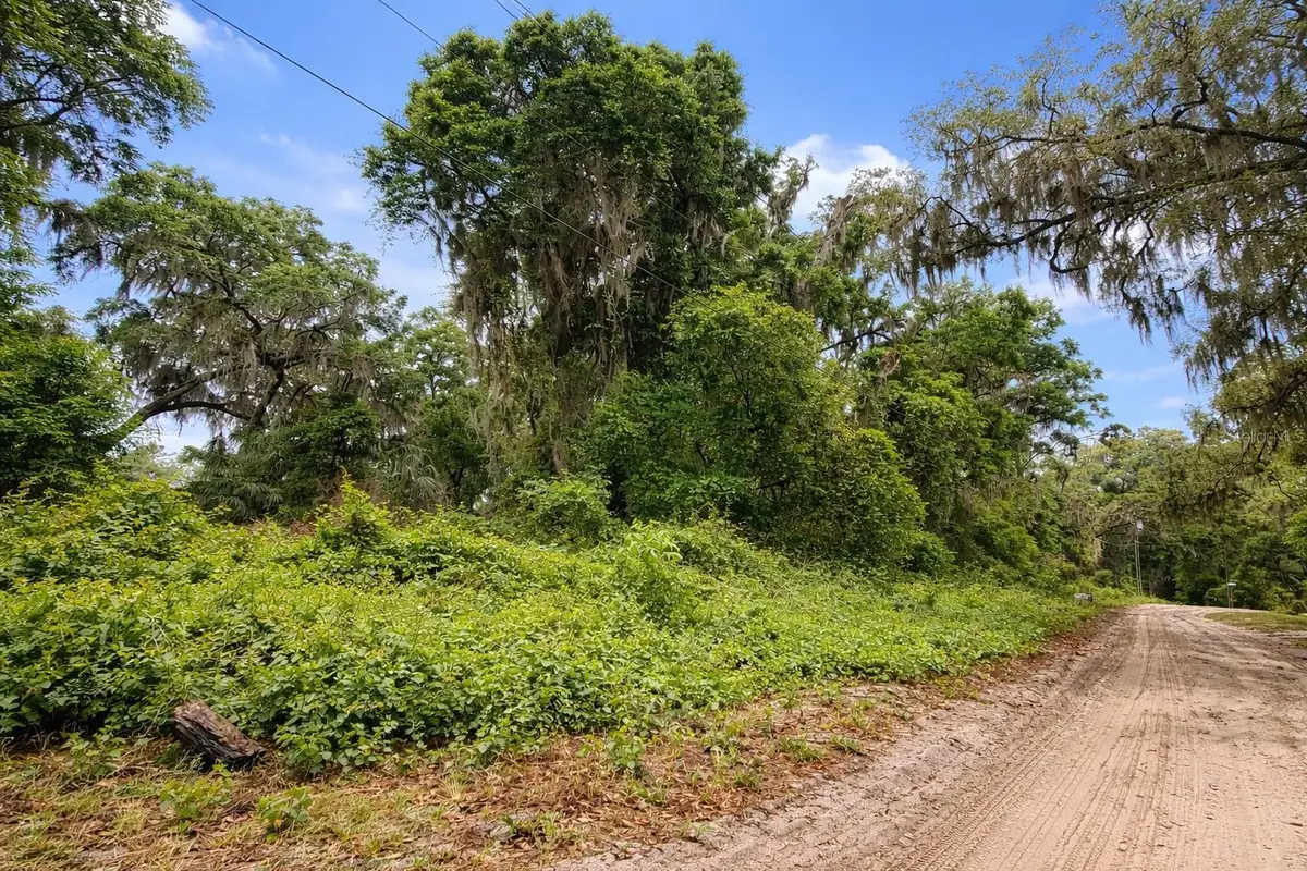 TBD NE 52nd Court, Anthony, FL 32617 - #1