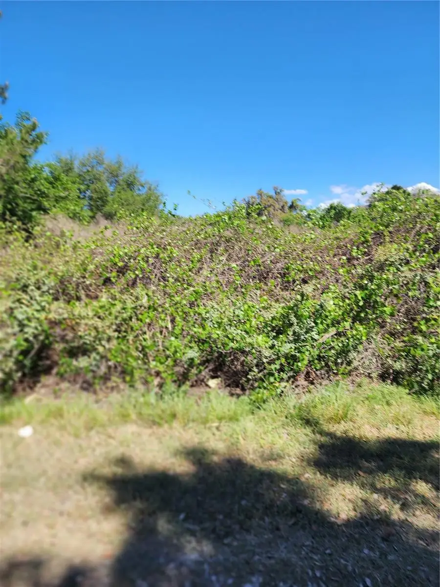 16415 SE 210th Terrace, Hawthorne, FL 32640 - #2