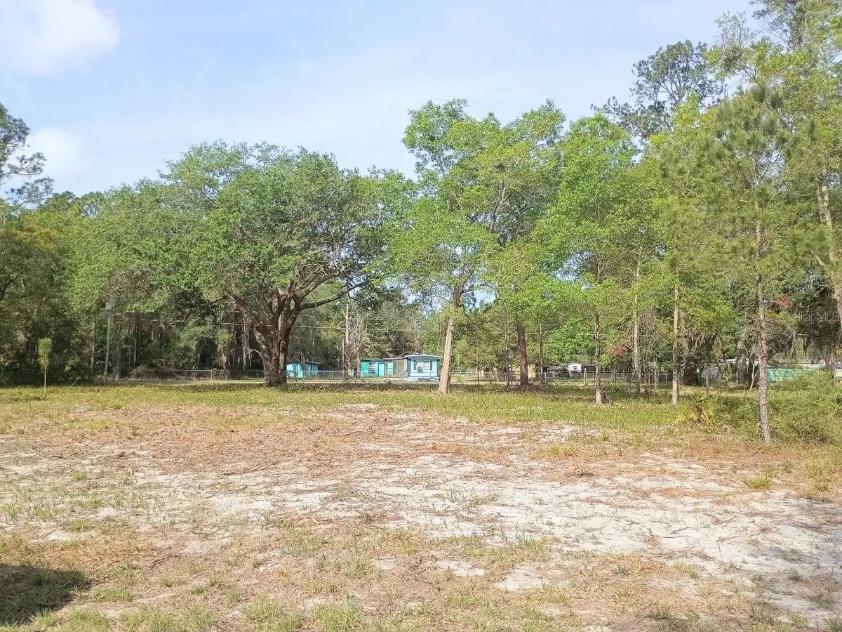 Ne 141st Ct, Fort McCoy Anthony, FL 32134 - #1