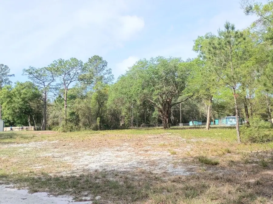 Ne 141st Ct, Fort McCoy Anthony, FL 32134 - #2