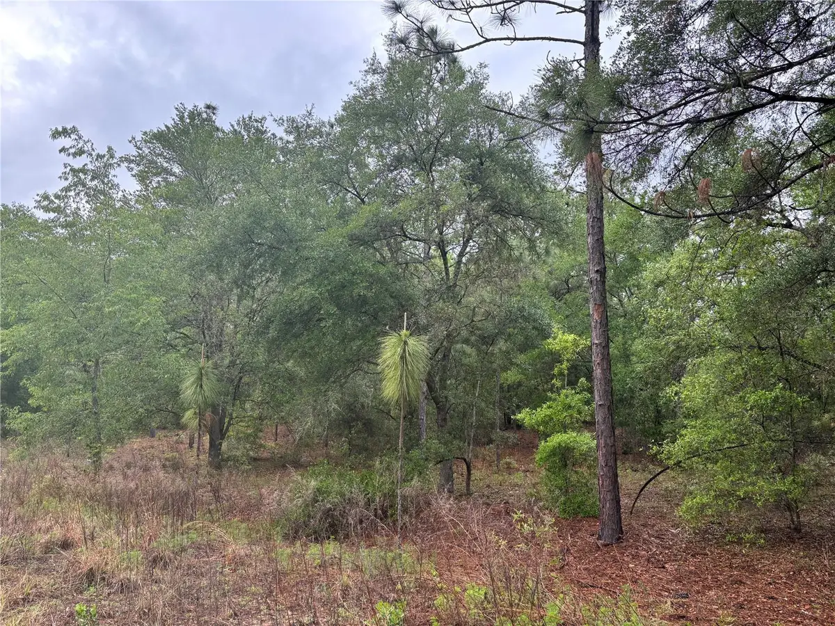 0000 SW 19th Place, Ocala, FL 34481 - #1