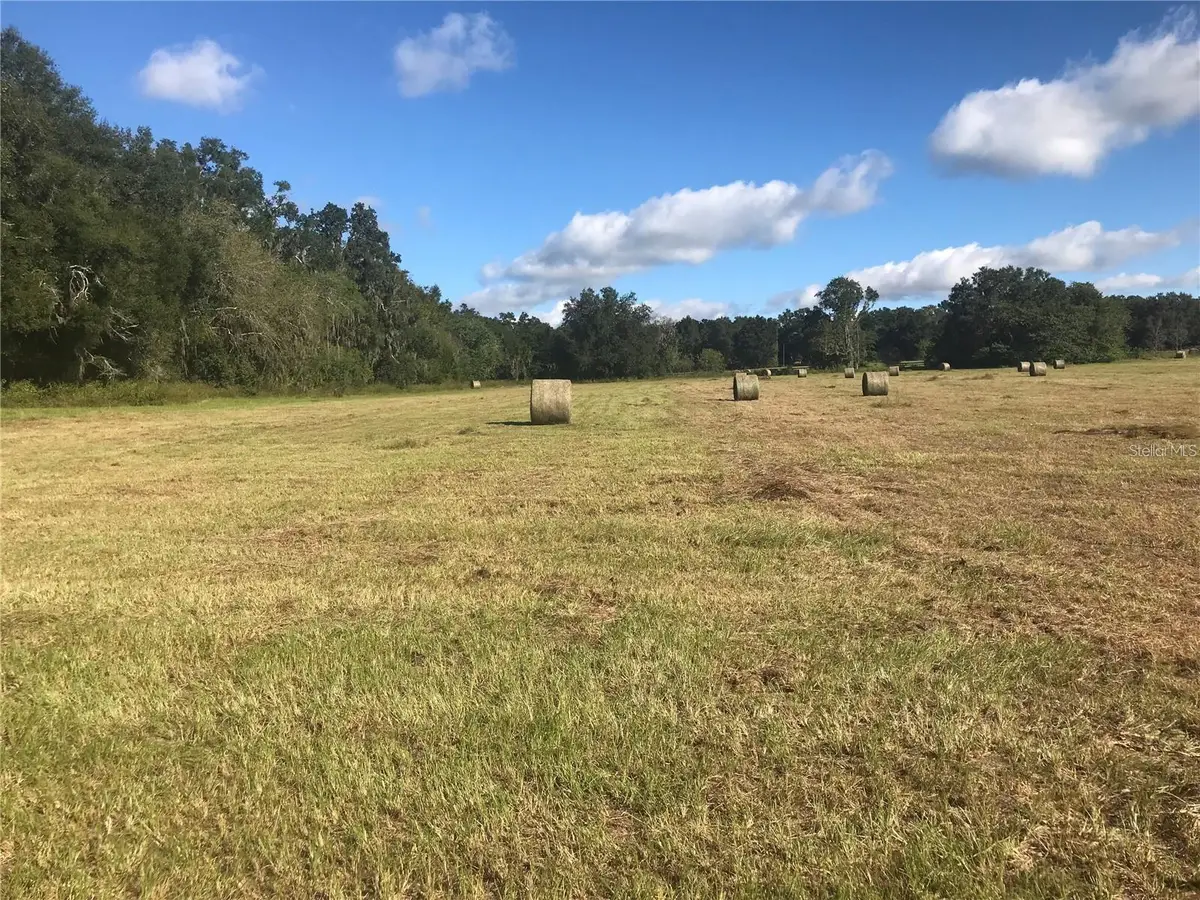 TBD NW 133rd, Reddick, FL 32686 - #1