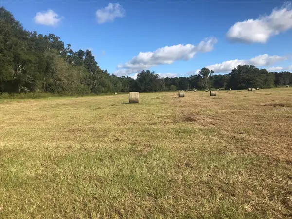 TBD NW 133rd, REDDICK, FL 32686