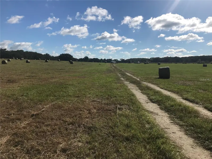 TBD NW 133rd, Reddick, FL 32686 - #2