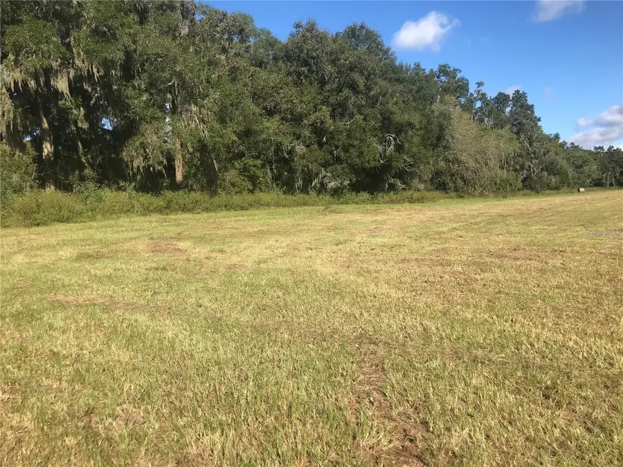 TBD NW 133rd, Reddick, FL 32686 - #3