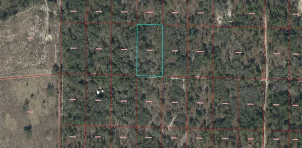 TBD SE 62nd, MORRISTON, FL 32668