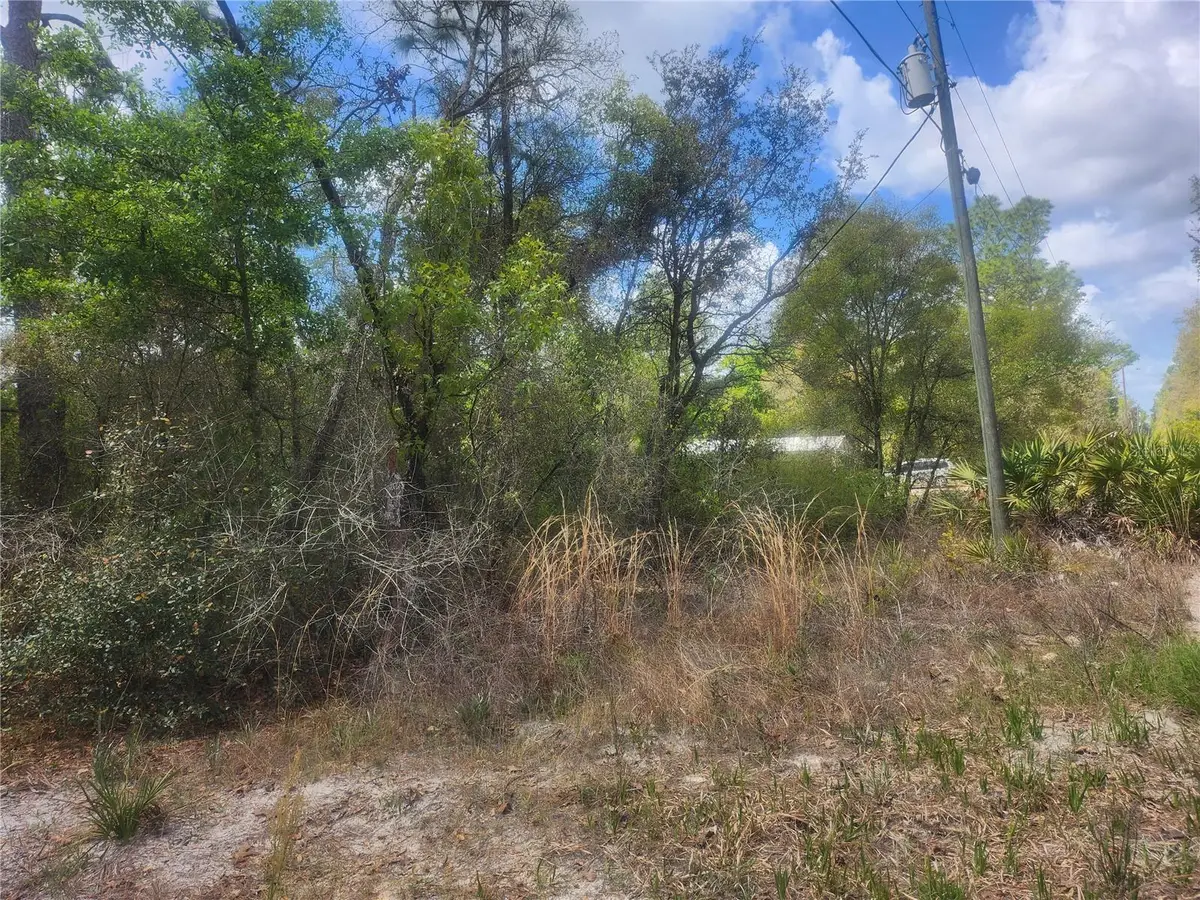 TBD NE 236 Lane, Orange Springs, FL 32182 - #1