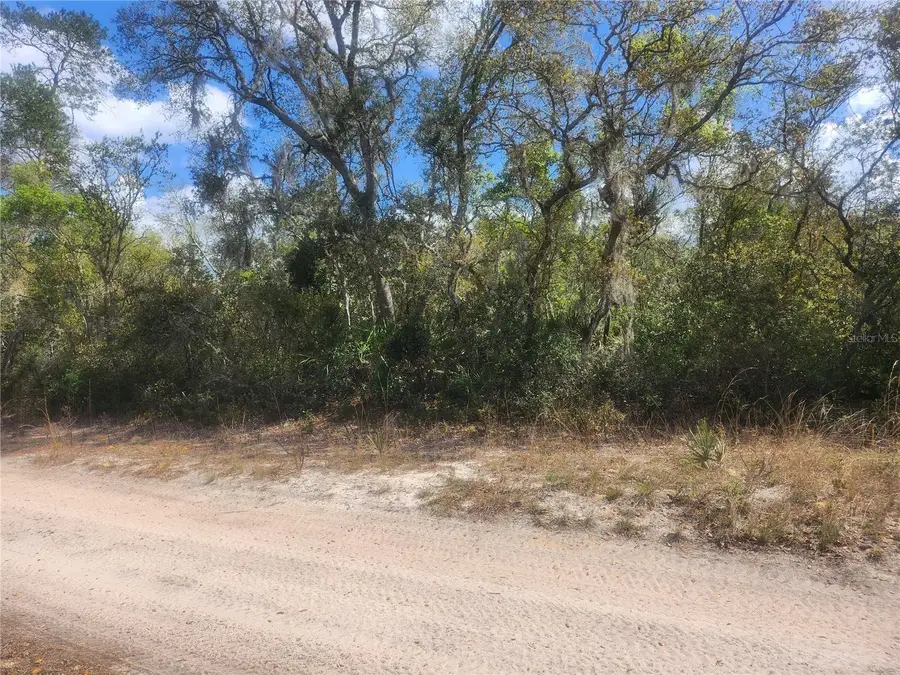 TBD NE 236 Lane, Orange Springs, FL 32182 - #3