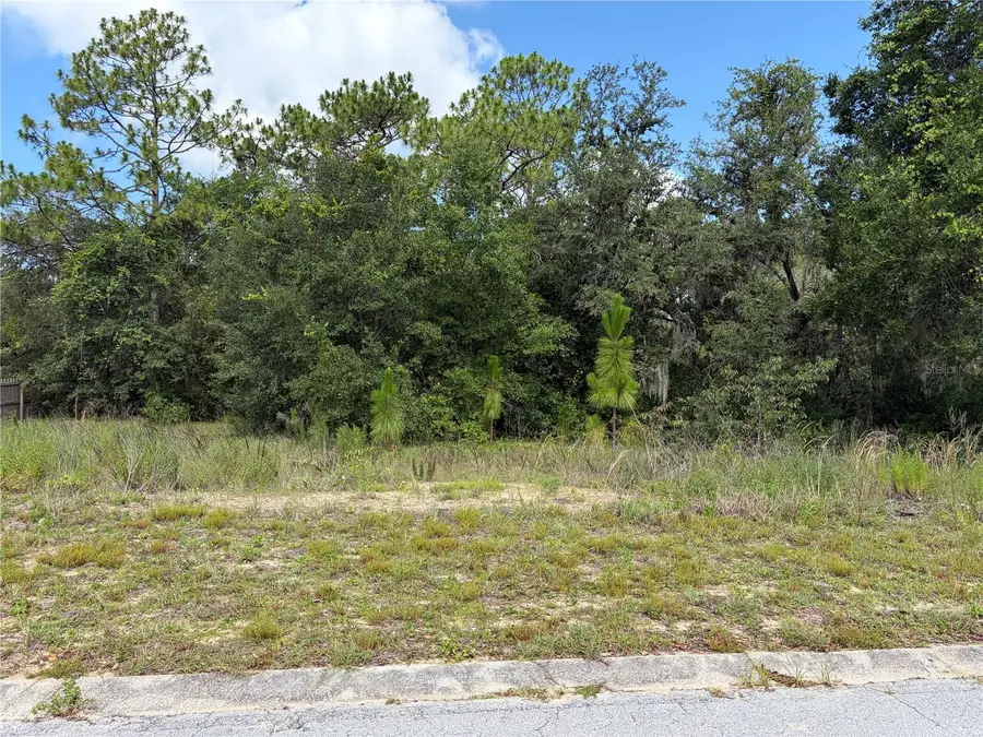 1133 Rutgers Terrace, Inverness, FL 34452 - #3