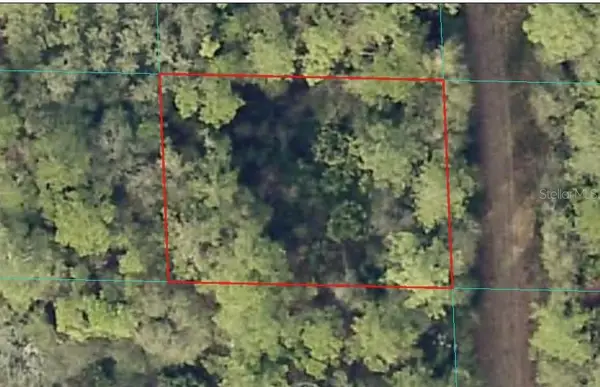 00 NE 66th Court, CITRA, FL 32113