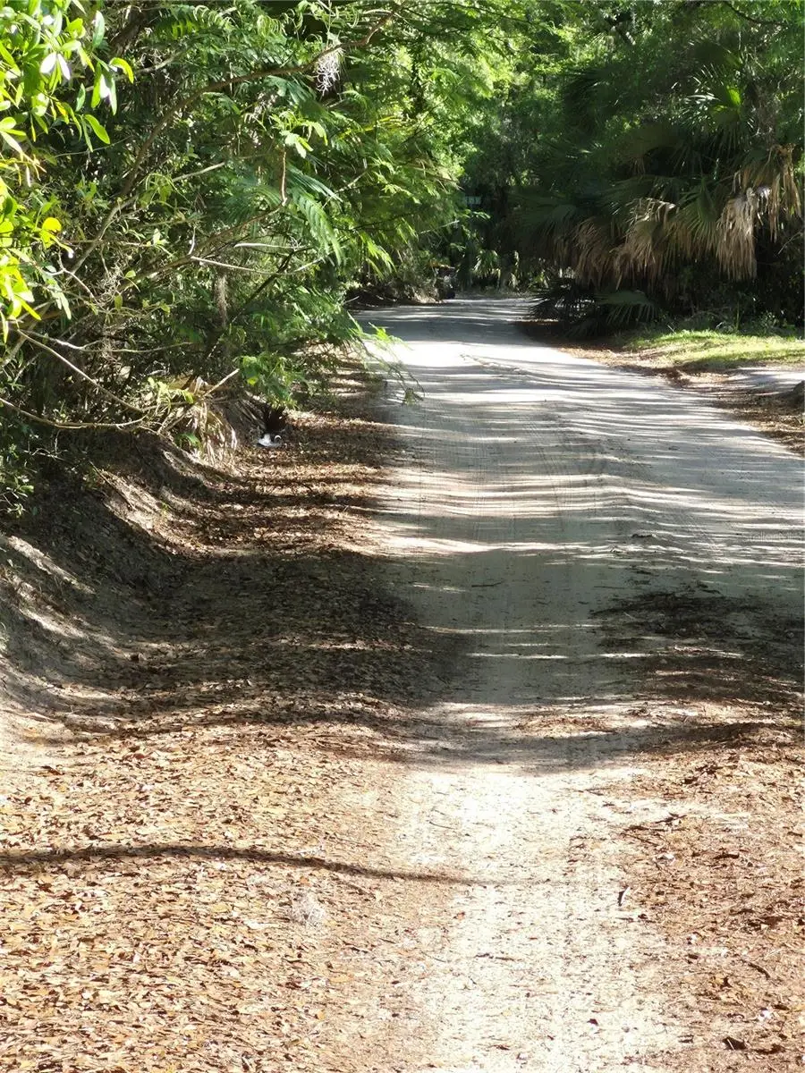 Sw 153rd Lane, Dunnellon, FL 34432 - #1