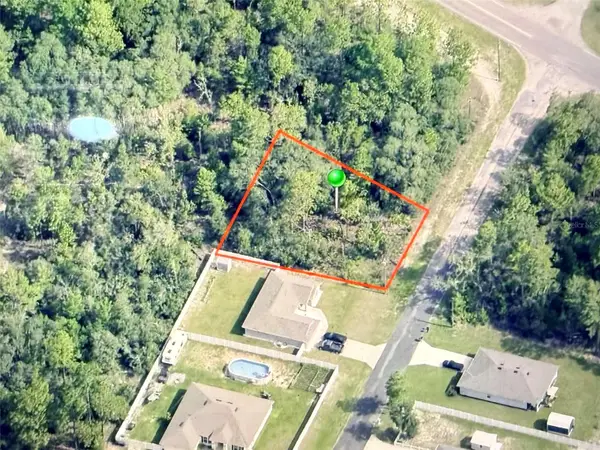 7327 N Lime Drive, CITRUS SPRINGS, FL 34433