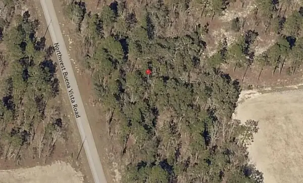 Lot 13 NW Buena Vista Road, DUNNELLON, FL 34431