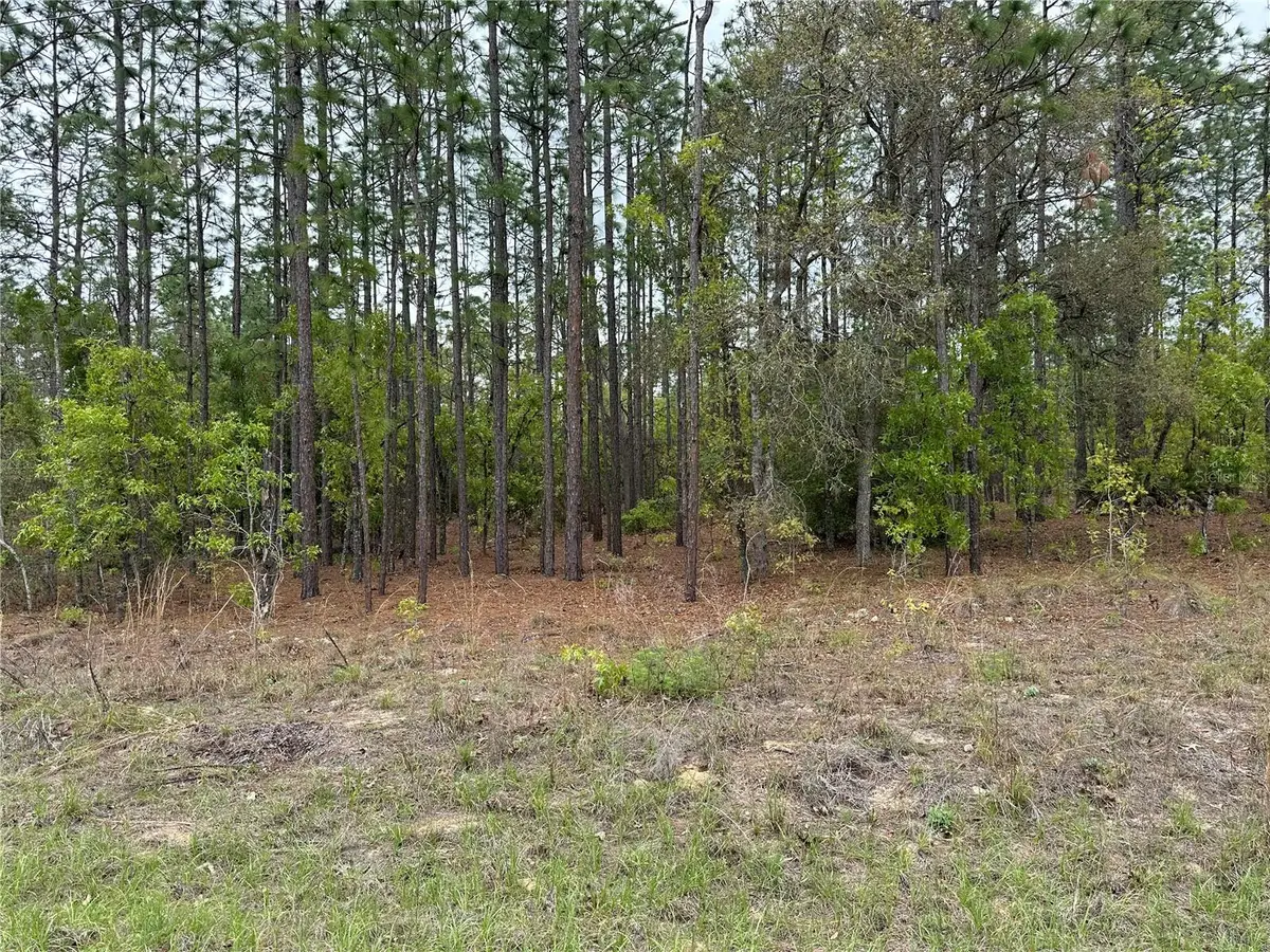 Sw 125th Court Rd, Dunnellon, FL 34432 - #1