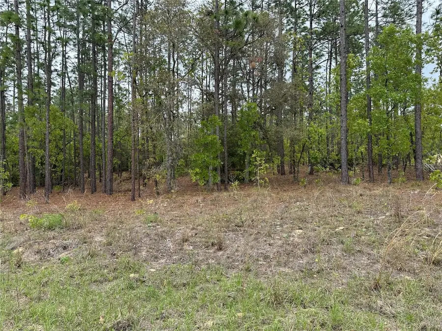Sw 125th Court Rd, Dunnellon, FL 34432 - #2