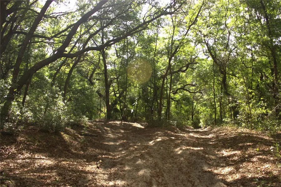 Redbud Road, Lady Lake, FL 32159 - #3