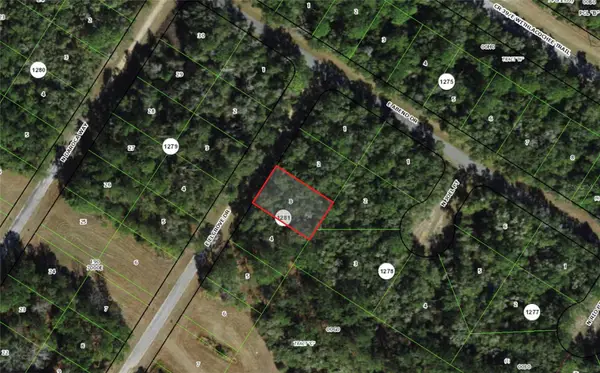 762 E Elgrove Drive, DUNNELLON, FL 34434