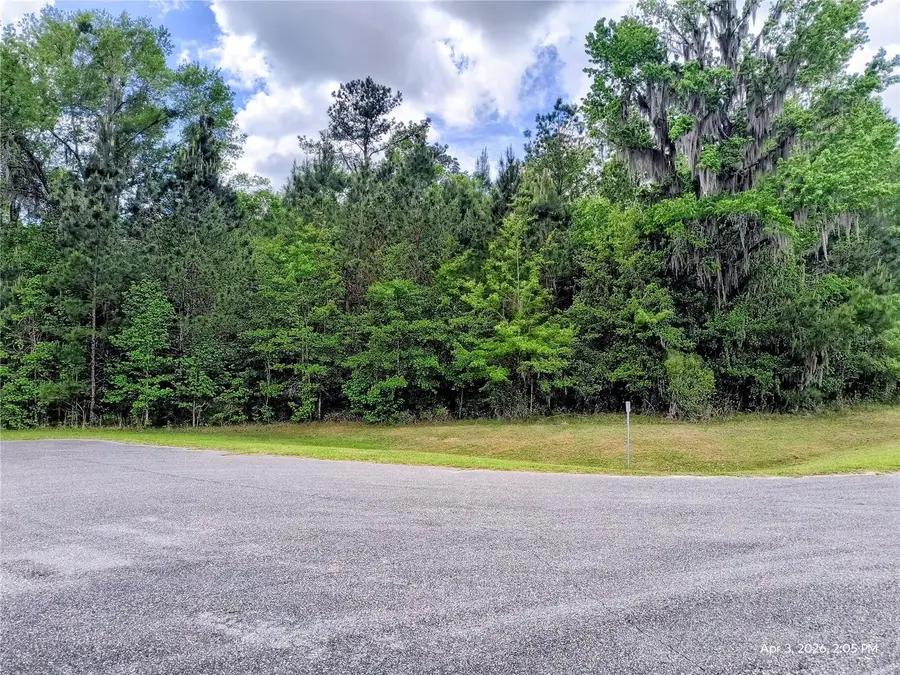 14095 NW 141st Avenue, Williston, FL 32696 - #3