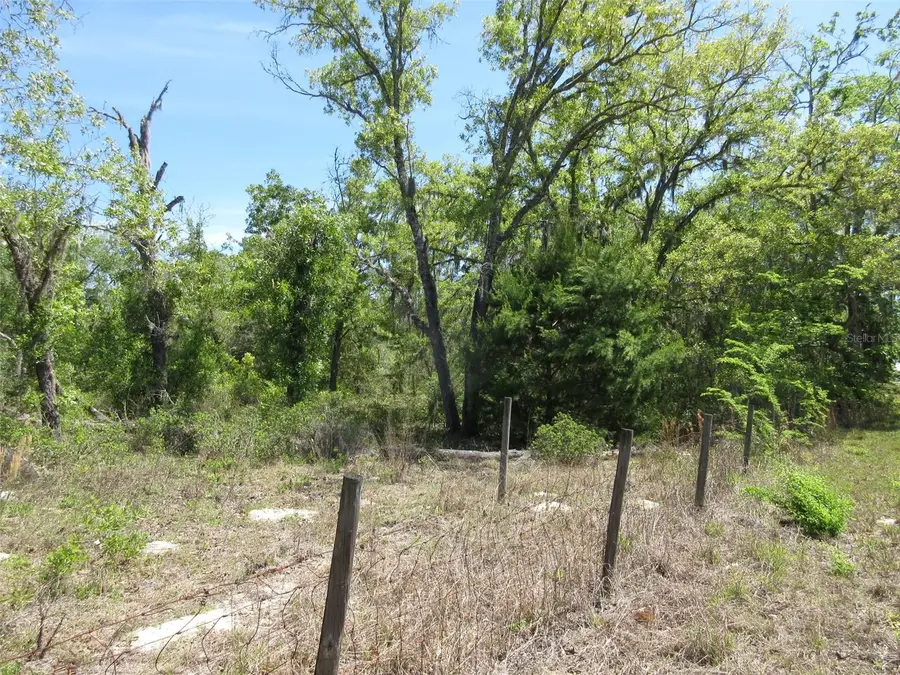 5439 W Oakhill Street, Dunnellon, FL 34433 - #2