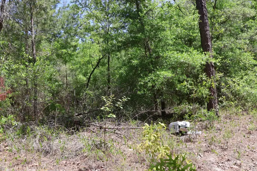 TBD SW 157th Lane, Dunnellon, FL 34432 - #2