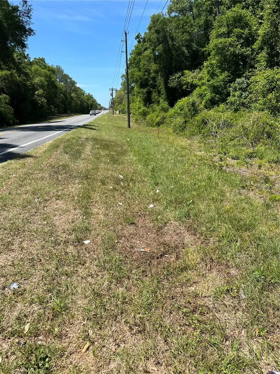 Lot 12 W Hwy 40, Ocala, FL 34481 - #2