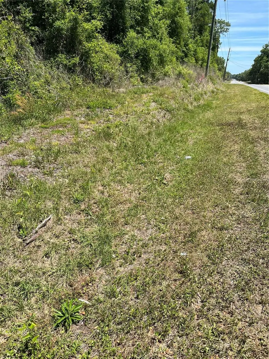Lot 12 W Hwy 40, Ocala, FL 34481 - #3