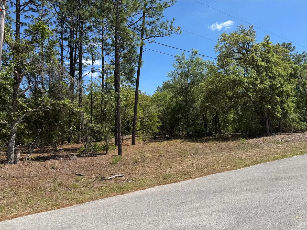 Lot 2 SW 59th Lane, Dunnellon, FL 34431 - #1