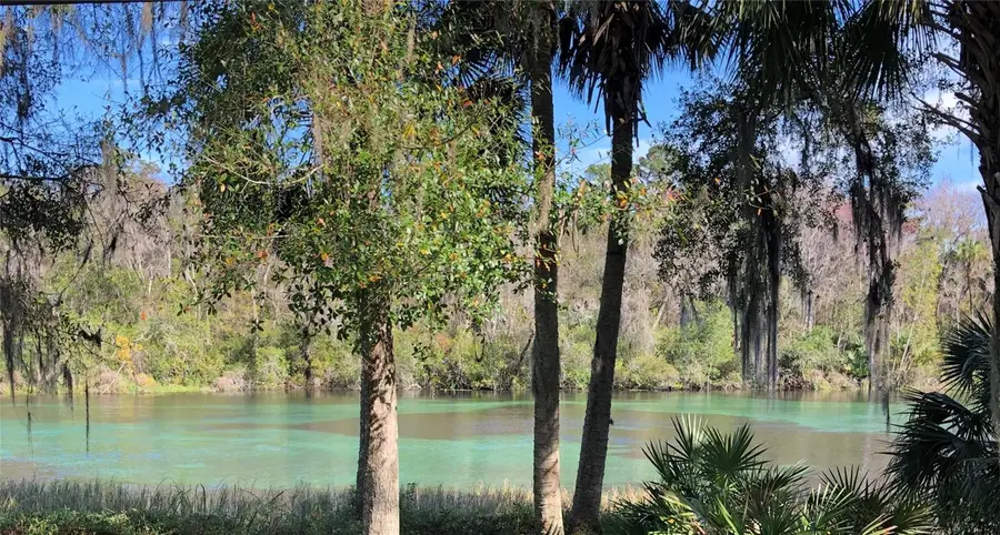 Lot 2 SW 59th Lane, Dunnellon, FL 34431 - #3