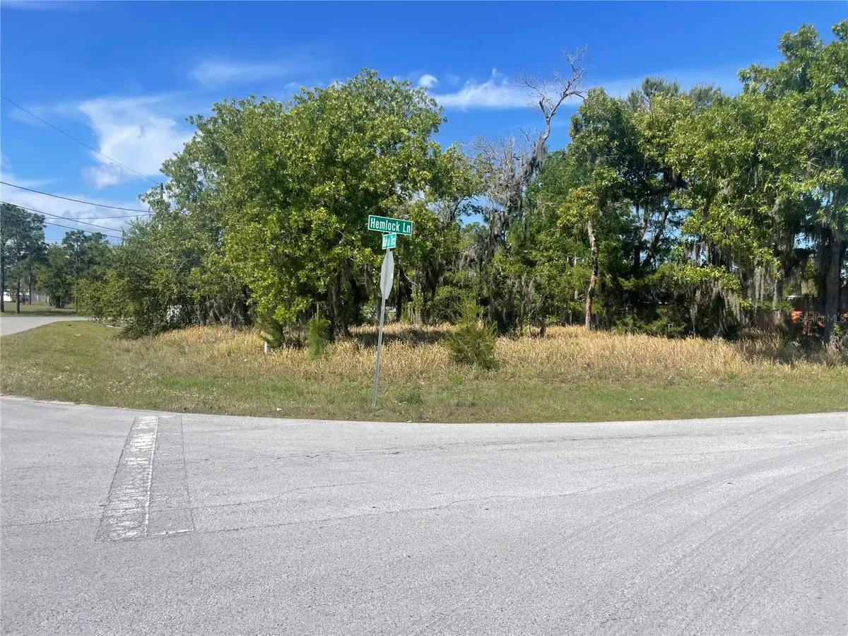 Hemlock Lane, Ocala, FL 34472 - #1
