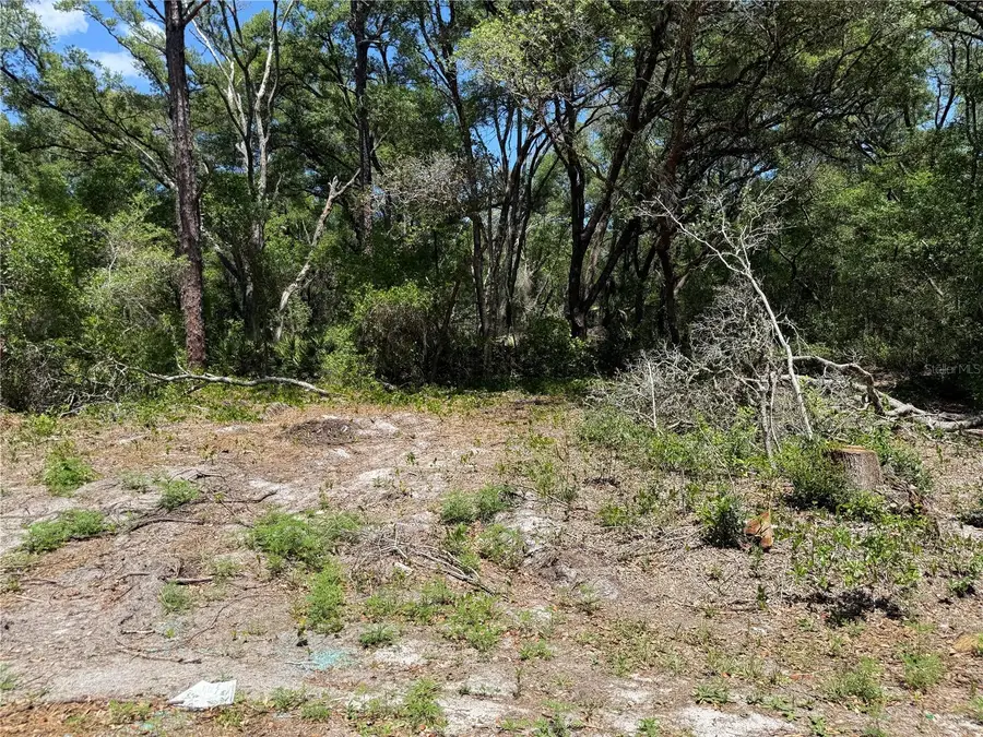 Fischer Lane Court, Ocklawaha, FL 32179 - #2