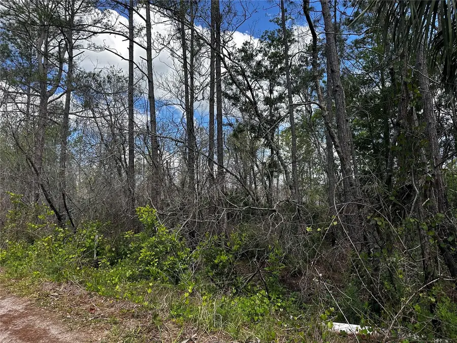 00 Kola Road, New Smyrna Beach, FL 32168 - #3